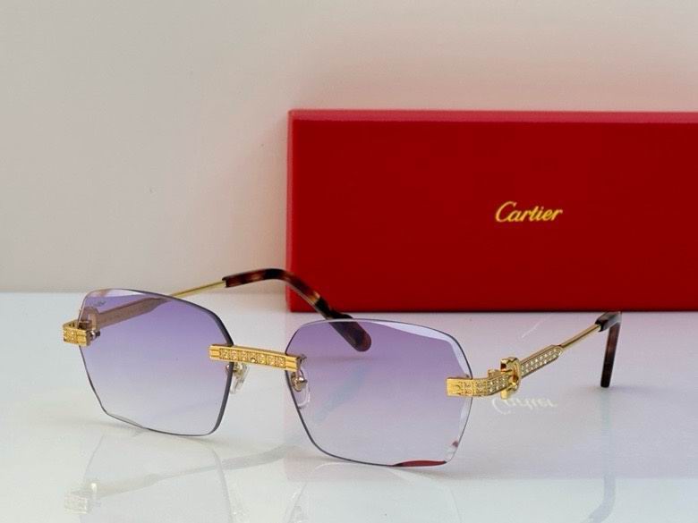 Cartier Glasses (63)